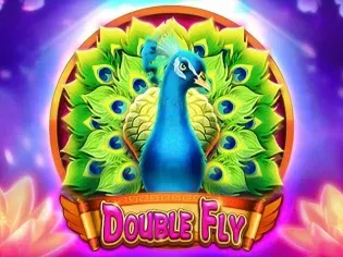 Double Fly screenshot
